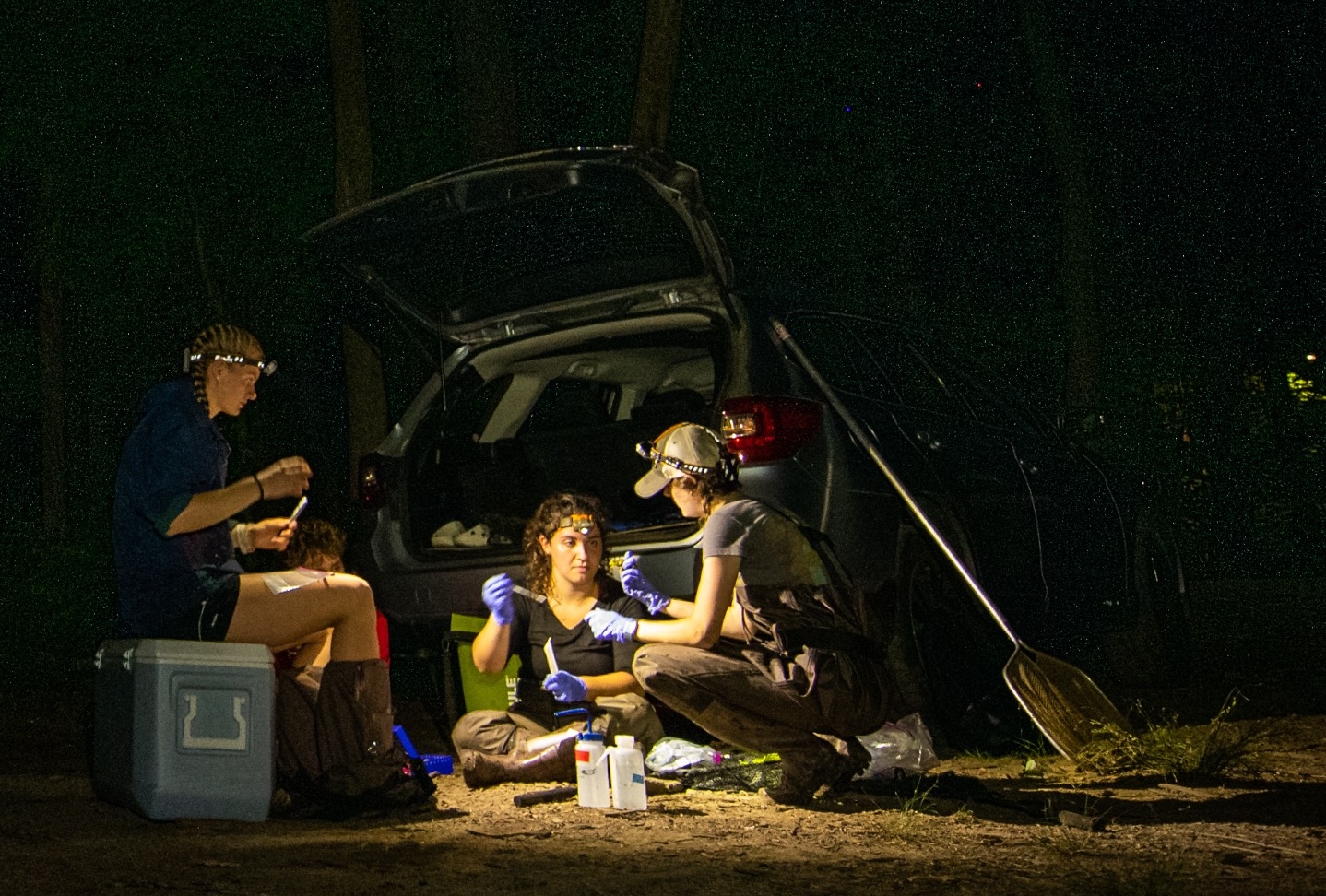 Microbiomes and Host Fungal Interactions in Amphibians